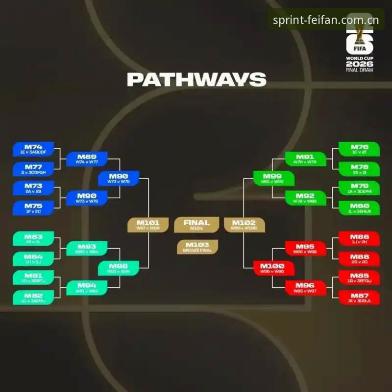 世界杯观赛受阻？非凡体育平台球迷必备的签证与替代观赛实用指南